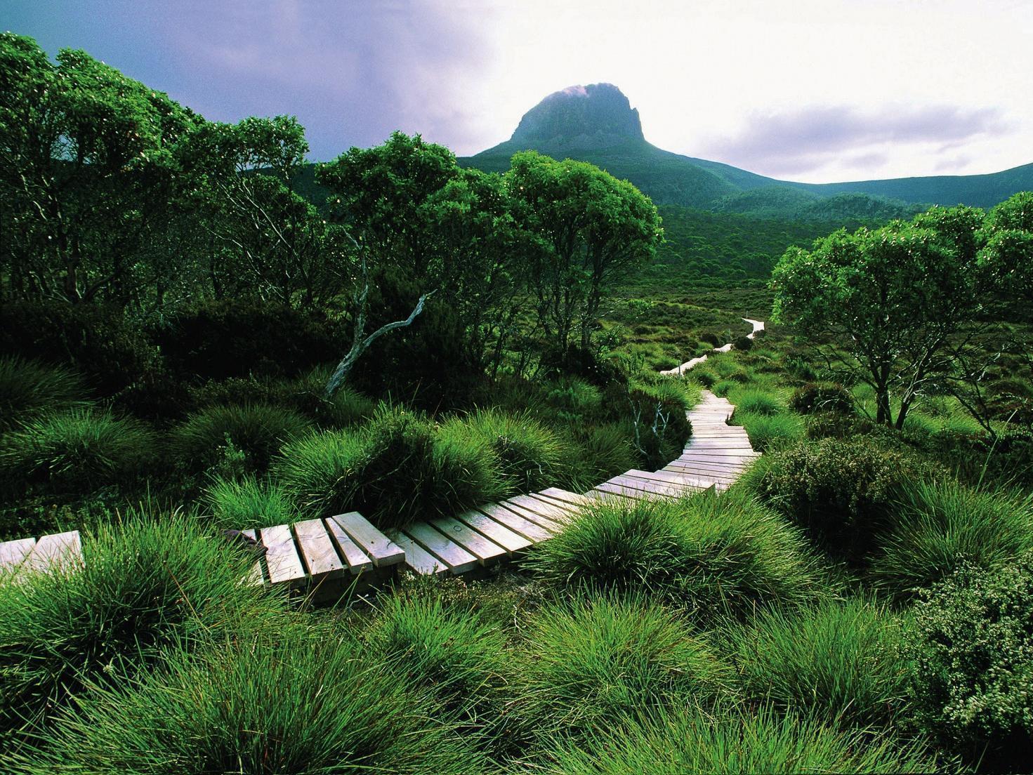 Cradle Mountain Hotel Hotel 4*