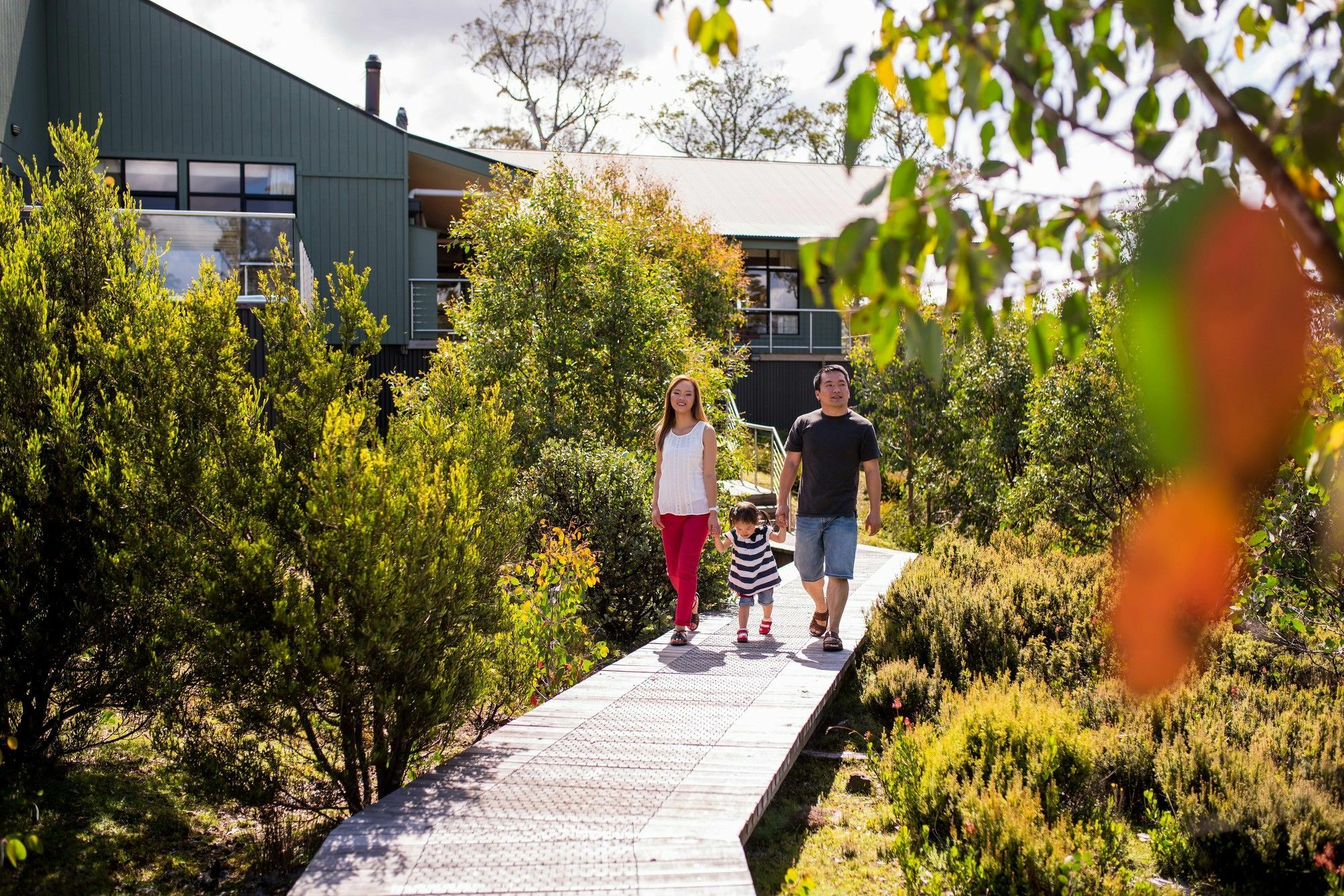 Cradle Mountain Hotel Hotel