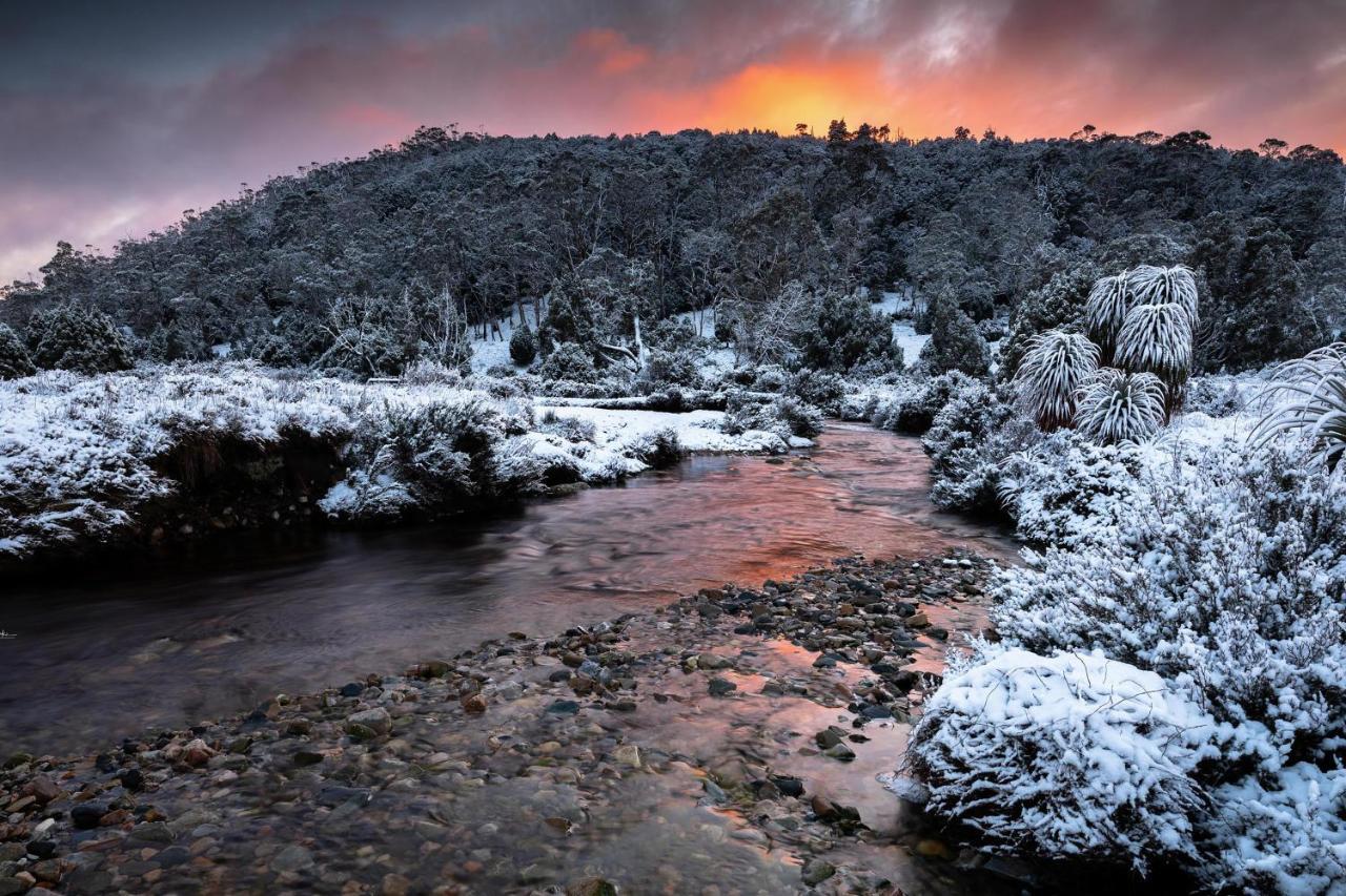 Peppers * Cradle Mountain