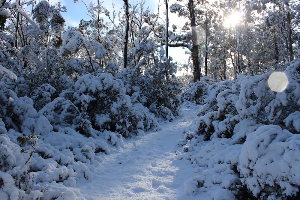 Cradle Mountain Hotel Hotel